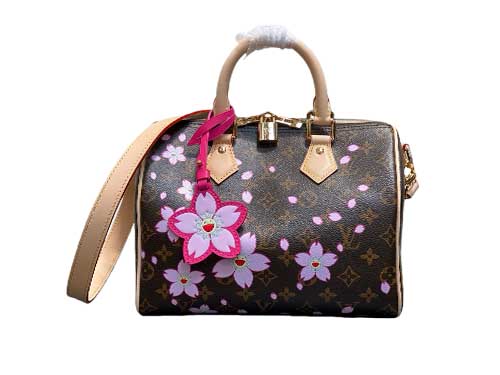 Louis Vuitton x Takashi 