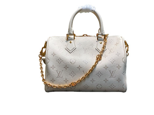 Louis Vuitton Speedy Ban