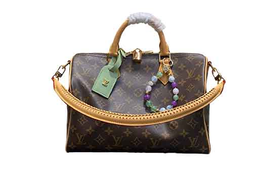 Louis Vuitton Speedy Sof