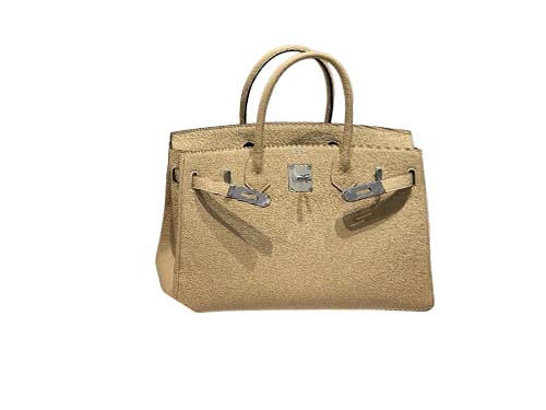 Hermès Birkin 25/30 Tren