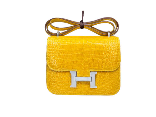 Hermès Constance 19cm Am