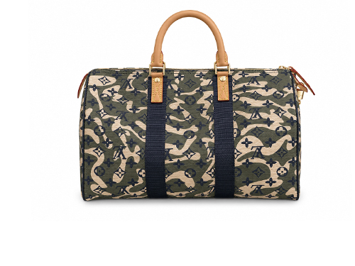Louis Vuitton M95773 Cam